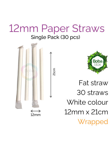 Fat Wrapped Paper Straws - White